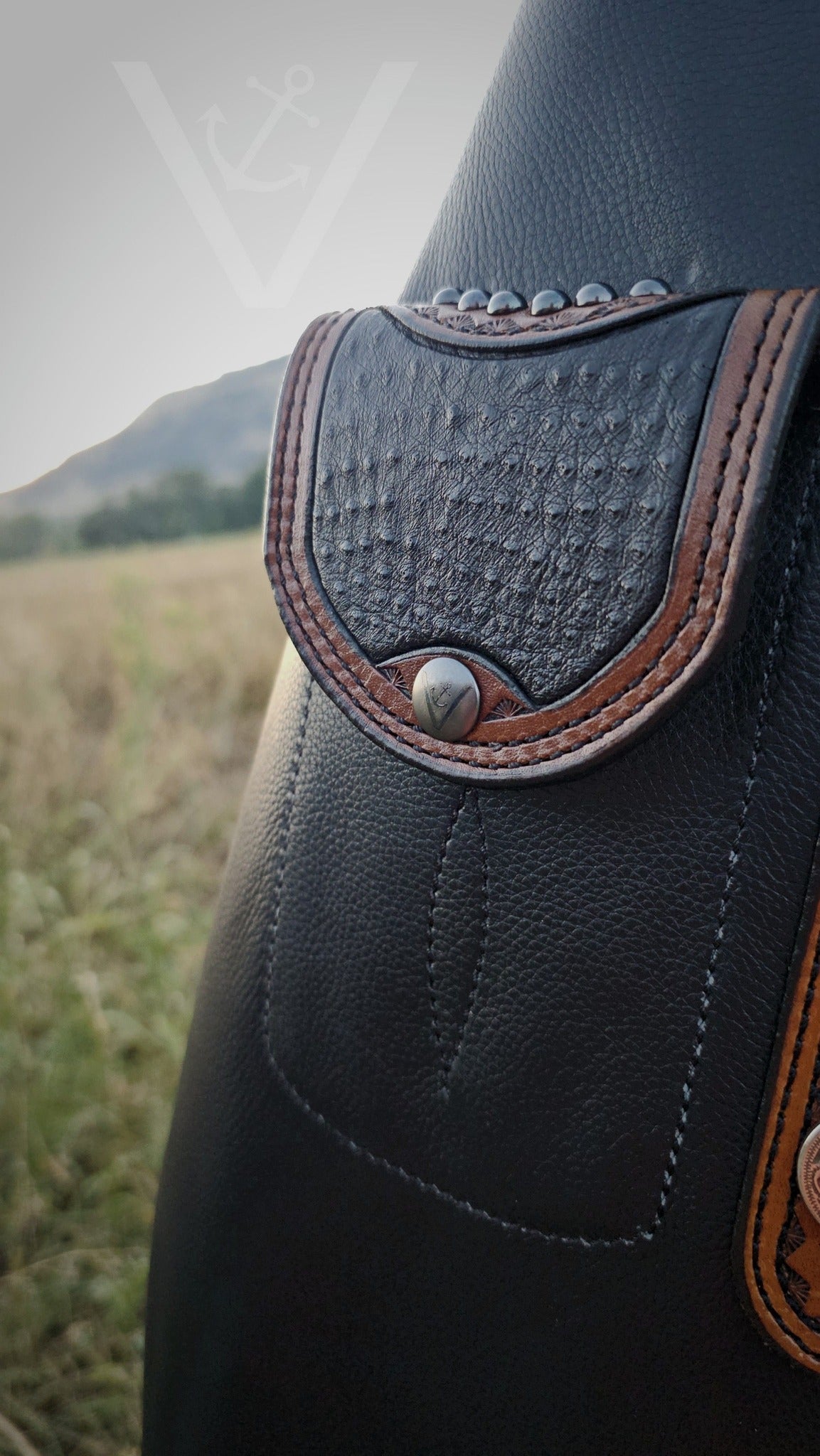 Premium Black Chaps with Ostrich Inlay