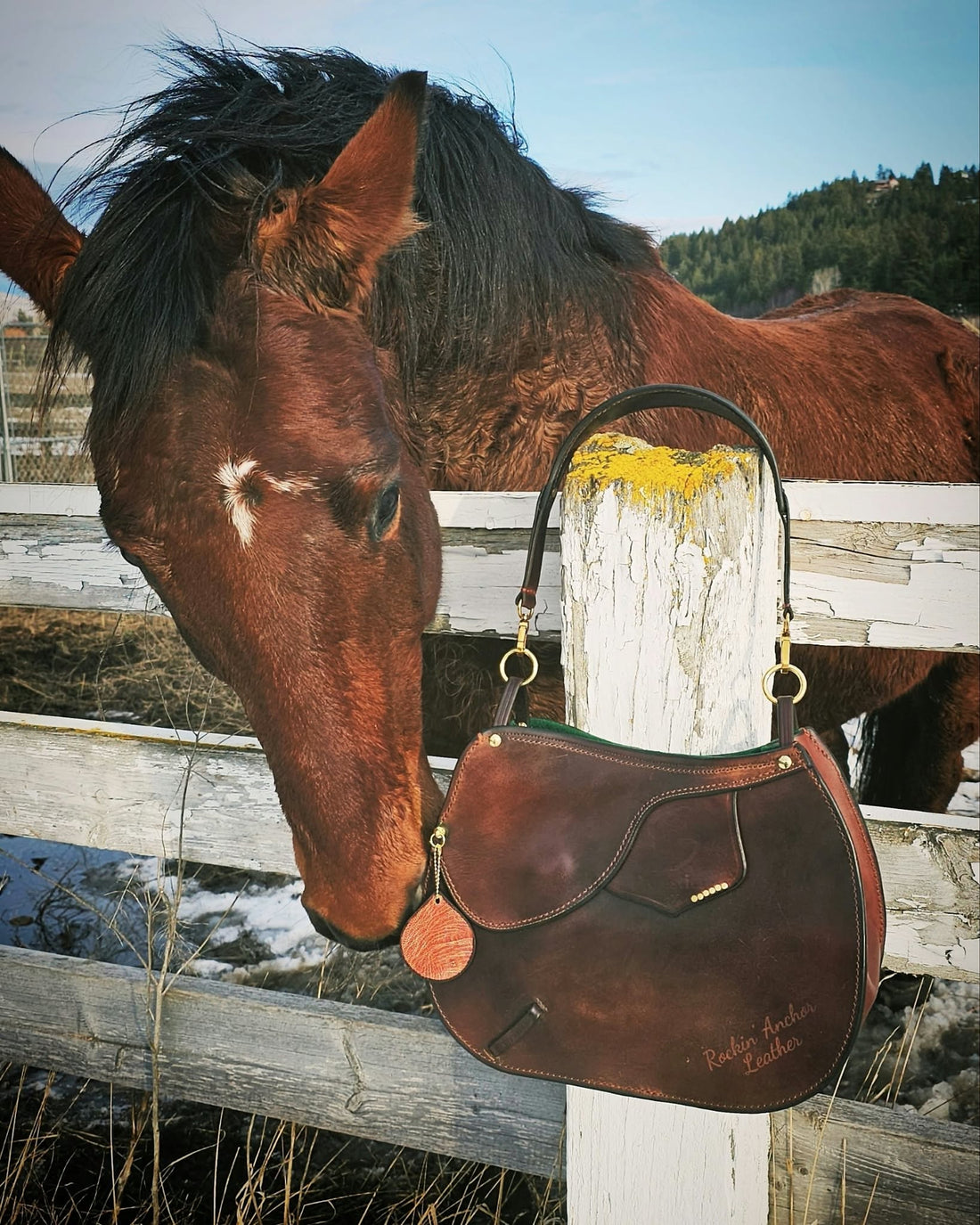 Leather Care Guide