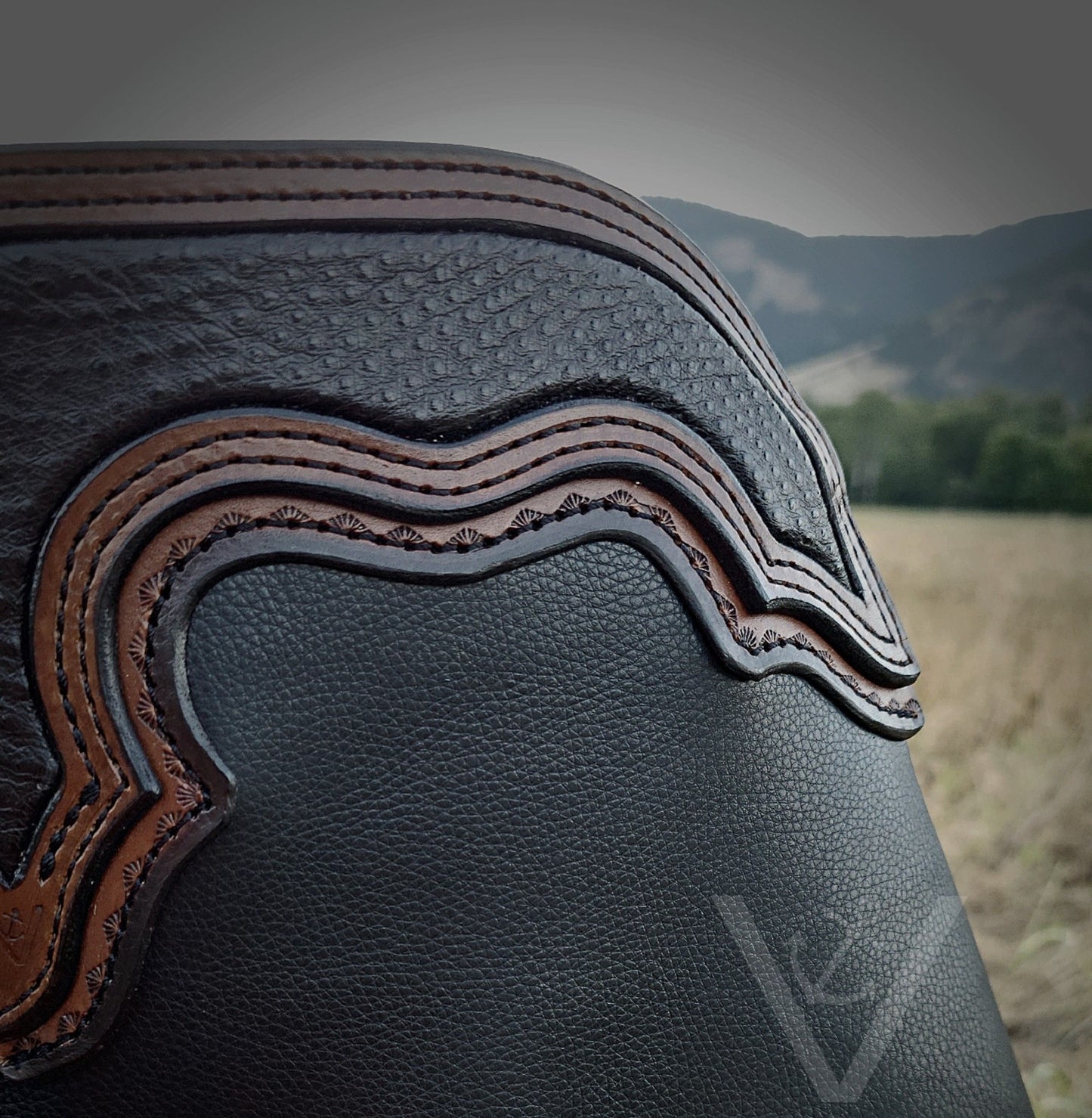 Premium Black Chaps with Ostrich Inlay